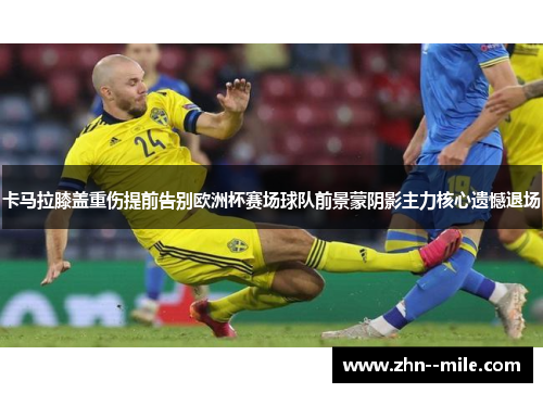 卡马拉膝盖重伤提前告别欧洲杯赛场球队前景蒙阴影主力核心遗憾退场